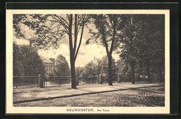 AK Neumünster, Promenade Am Teich - Neumünster