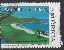 BRASILE - 1990 - AMERICA U.P.A.E. - 105 Cr - USATO ( YVERT 1986 - MICHEL 2382) - Used Stamps