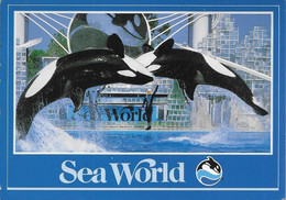 Sea World - Altri