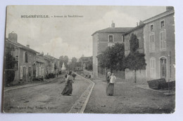 Bulgnéville - Avenue De Neufchateau - Bulgneville