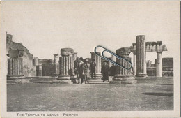 RED STAR LINE  : POMPEII :  The Temple To VENUS - Steamers