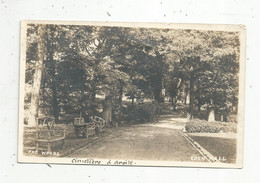 Cp , Carte Photo, Etats Unis , PENNSYLVANIA , PHILADELPHIA , EDEN HALL ,the Woods ,vierge - Philadelphia