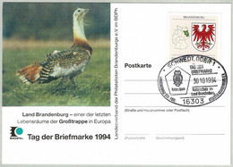 Deutschland 1994, Postkarte Tag Der Briefmarke Schwedt, Grosstrappe / Otis Tarda, Eule / Owl - Oche