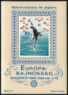 **, * 1963 Műkorcsolyázó és Jégtánc Európa-bajnokság 22 Db Blokk (25.800) (1 Db Falcos / Hinged) - Sonstige & Ohne Zuordnung