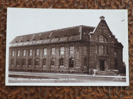 France BORDEAUX Faculté Des Sciences (annexe) Institut De Zoologie  1936   A 212 - Bordeaux