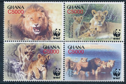 ** 2004 WWF: Oroszlán Négyestömb + Sor 4 FDC-n Mi 3701-3704 - Sonstige & Ohne Zuordnung