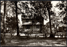 F2255 - Hohenstein Ernstthal - Waldcafe Gaststätte Birkenhain - Kallmer - Hohenstein-Ernstthal