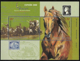 ARGENTINA AÑO 2000 - ESPAÑA 2000 EXPOSICION FILATELICA MUNDIAL HB JALIL 133 MNH - Blokken & Velletjes