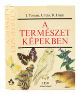 J. Toman-J. Felix-K. Hísek: A Természet Képekben. Környezetünk Növény- és állatvilága. Bp.,1981,Natura. Első Kiadás. 115 - Unclassified