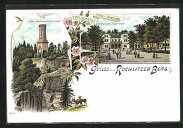 Lithographie Rochlitzer Berg I. S., Hotel-Restaurant Geschwister Haberkorn Und König Friedrich Turm - Rochlitz