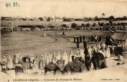 CPA AK Geiser 9 OUARGLA Concours De Dressage De Meharis ALGERIA (756712) - Ouargla