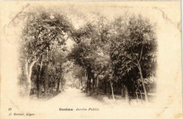 CPA AK Geiser 29 Guelma Jardin Public ALGERIA (756984) - Guelma