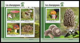 DJIBOUTI 2021 - Mushrooms, Beetles. M/S + S/S. Official Issue [DJB210201] - Other