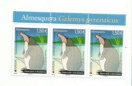 Desman Des Pyrénées (Rat-trompette). Europa Andorra FR 2021. Bande De 3 Timbres Neufs ** Se-tenant Bord De Feuille - Unused Stamps