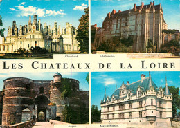 CPSM Châteaux De La Loire-Multivues     L651 - Pays De La Loire