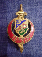 Insigne 10° Section D’Infirmiers Militaires - Service De Santé Des Armées - Algérie - Medizinische Dienste