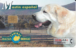 Nº15 MASTIN ESPAÑOL DE LA SERIE RAZAS CANINAS IBERICAS DE TIRADA 401200 - Chiens