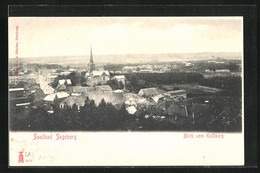 AK Bad Segeberg, Blick Vom Kalkberg Auf Den Ort - Bad Segeberg