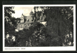 AK Babenhausen / Hessen, Blick Auf Das Schloss - Babenhausen