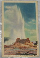 16062 Castle Geyser, 75 Ft, Yellowstone National Park - Yellowstone