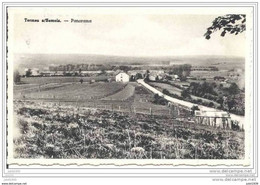 TERMES ..-- Panorama . Vers ASSEBROEK ( Mr Mme Lievens ) . Voir Verso . - Chiny