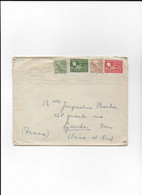 SUEDE   Enveloppe De 1949 Pour La FRANCE  BIERNE 53 - Otros & Sin Clasificación