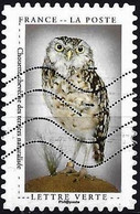 France 2020 - Mi 7550 - YT Ad 1831 ( Bird : Stuffed Little Owl ) - Águilas & Aves De Presa