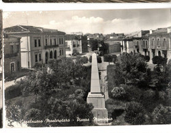 CASALNUOVO MONTEROTARO (FOGGIA) - PIAZZA MUNICIPIO - VG FG - C01608 - Foggia