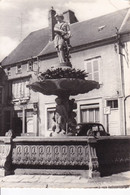 VERTUS - La Fontaine Du Vigneron Champenois - Vertus