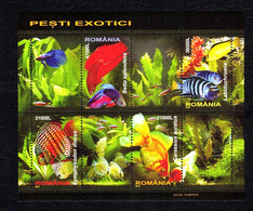 ROMANIA 1676c, 2005, #, Aquarium Fish, BLOCK OF 4, Poissons D'aquarium - Altri & Non Classificati