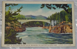 31091 Chittenden Bridge And MT. Washburn, Yellowstone National Park - Yellowstone