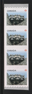 CANADA 2012 Definitives / Young Wildlife / Raccoons S/ADH: Strip Of 4 Stamps UM/MNH - Rollo De Sellos