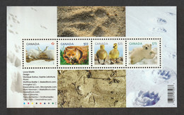 CANADA 2011 Definitive / Young Wildlife: Miniature Sheet UM/MNH - Blocs-feuillets