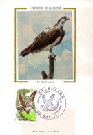 " AIGLE BALBUZARD " Sur Carte Maximum Sur Soie De 1978 N° YT 2018 Parf état CM - Aigles & Rapaces Diurnes