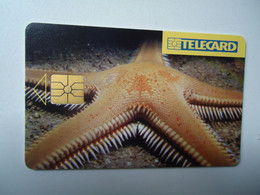 CZECH    USED CARDS  FISHES  MARINE LIFE - Vissen
