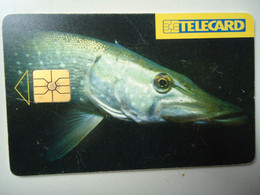 CZECH REPUBLIC USED PHONECARDS FISH FISHES - Fische