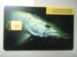 CZECH USED CARDS FISHES - Pesci
