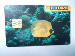 CZECH  USED CARDS MARINE LIFE  FISHES - Peces