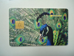 CZECH REPUBLIC USED PHONECARDS  BIRDS - Gallinaceans & Pheasants