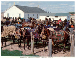 (QQ 43) Canada - Elmira (Ontario) Mennonite Gathering - Kitchener