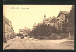 AK Colditz I. Sa., Dresdnerstrasse Mit Villa Carola - Colditz