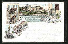 Lithographie Bernburg, Bären Im Schlosszwinger, Schloss-Portal, Wolfgang-Denkmal - Bernburg (Saale)