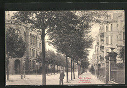 AK Cottbus, Bahnhofstrasse Mit Realschule - Cottbus