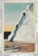 14013 Daisy Geyser, 40ft, Yellowstone National Park - Yellowstone