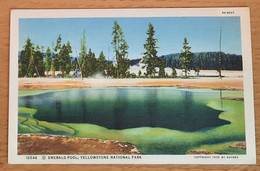 12546 EMERALD POOL, YELLOWSTONE NATLIONAL PARK - Yellowstone