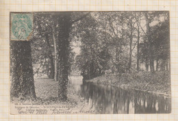 Delcampe - 21B1572 ST SULPICE DE FAVIERES - CPA PRECURSEUR - CHATEAU DE SEGREZ VUE DU PARC - Dourdan