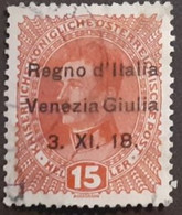 ITALIA REGNO TERRE REDENTE VENEZIA GIULIA 1918 CENT. 15 - Otros & Sin Clasificación