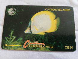 CAYMAN ISLANDS  CI $ 30,-  CAY-5B  CONTROL NR 5CCIB  SPOTFIN BUTTERFLY FISH   NEW  LOGO     Fine Used Card  ** 5642** - Kaimaninseln (Cayman I.)