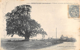 CPA 08 BRIEULLES LE TILLEUL - Other & Unclassified