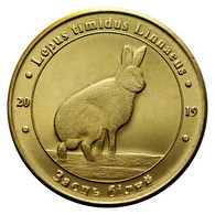 UKRAINE 1 ZLOTNIK FAUNA RED BOOK - MOUNTAIN HARE LIÈVRE HASE LEPRE LEPUS TIMIDUS LINNAEUS 2019 - Ucraina